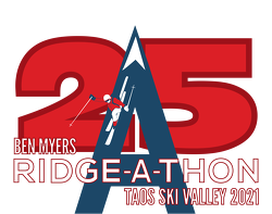 25th Anniversary Patch